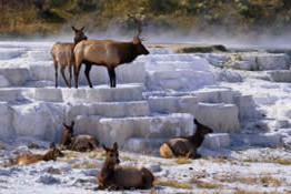 North Entrance to Yellowstone-