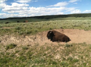 West Entrance to Yellowstone